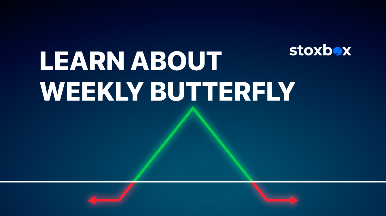 Learn About Weekly Butterfly