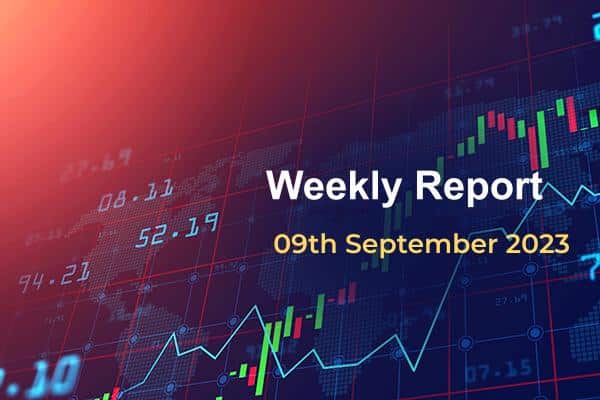 Weekly Report: September 09, 2023