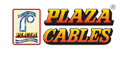 Plaza Wires Ltd IPO : Avoid
