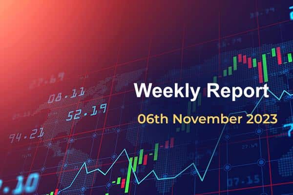 Weekly Report: November 06, 2023