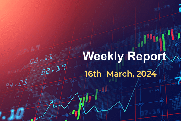 Weekly Report: 16th March 2024