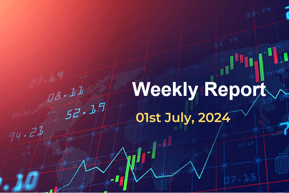 Weekly Report: 01 st July 2024