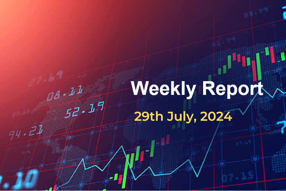 Weekly Report: 29th July 2024