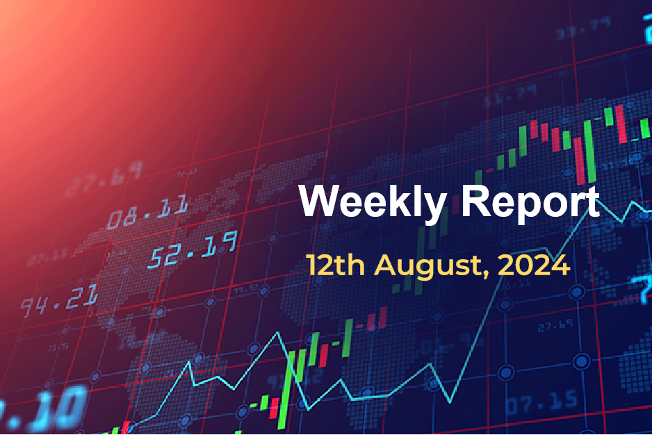 Weekly Report: 12th August 2024