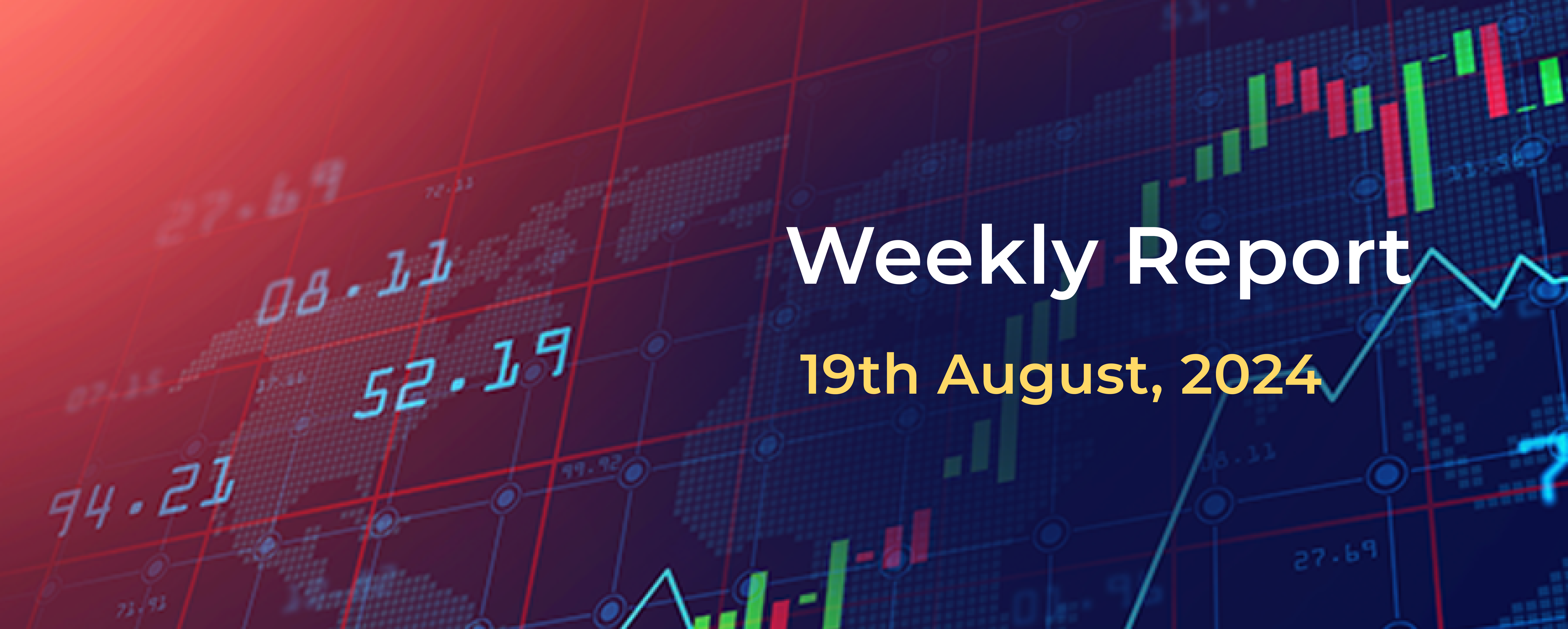 Weekly Report: 19th August 2024