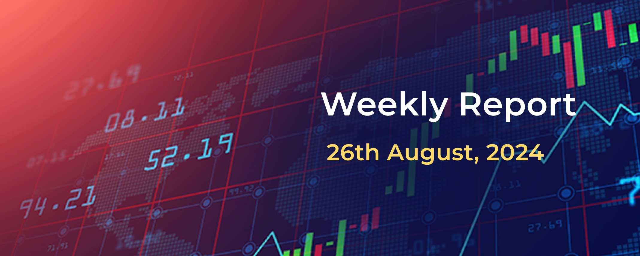 Weekly Report: 26th August 2024