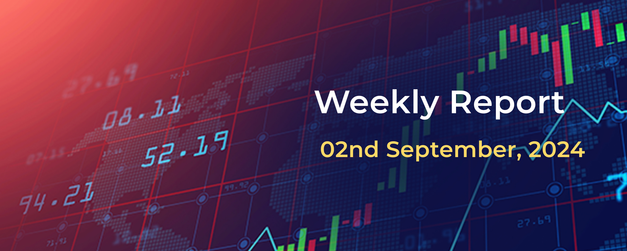 Weekly Report: 02nd September 2024