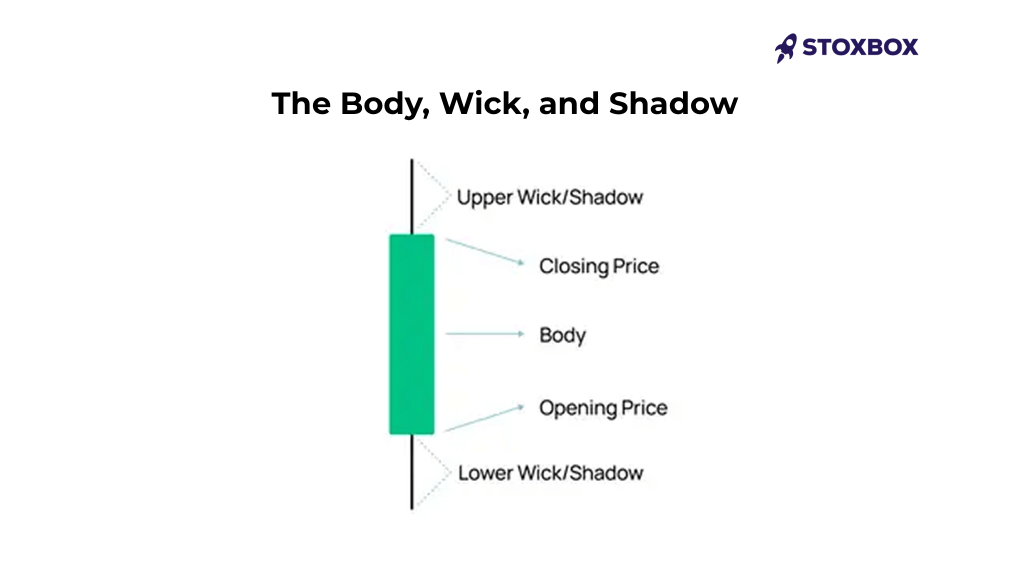 The Body, Wick & Shadow