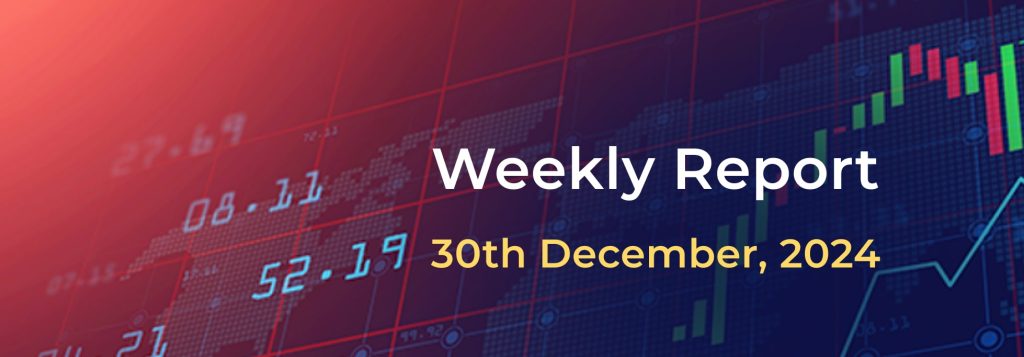 Weekly Report: 30th December 2024