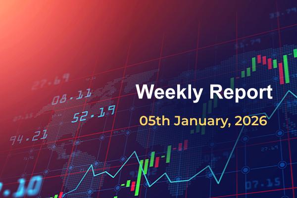 05 jan weekly wealth report