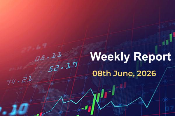 weekly report